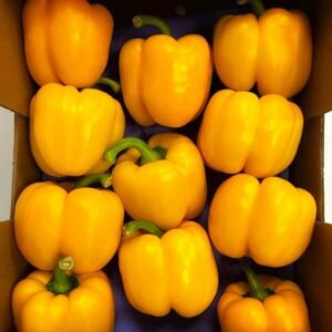 PIMIENTO CALIFORNIA NARANJA