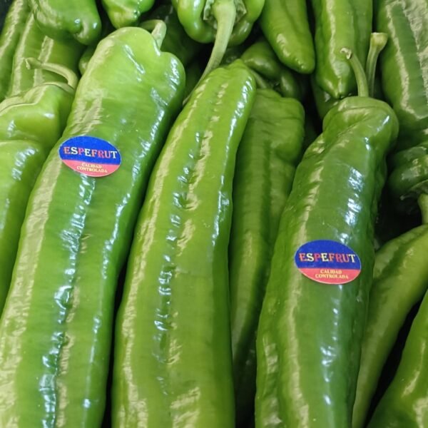 PIMIENTO ITALIANO