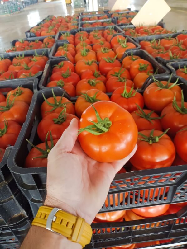 Frutas y Hortalizas al por mayor