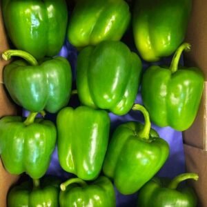 PIMIENTO CALIFORNIA VERDE