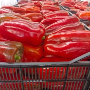 PIMIENTO LAMUYO ROJO