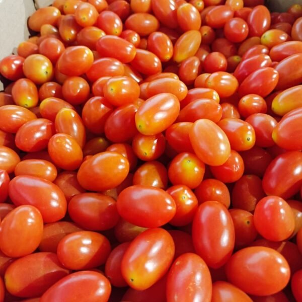 TOMATE PERA CHERRY