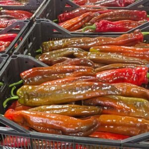 PIMIENTO ITALIANO ROJO