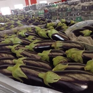 Producto directos del agricultor