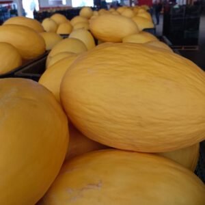MELÓN AMARILLO