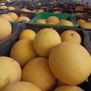 Producto directos del agricultor